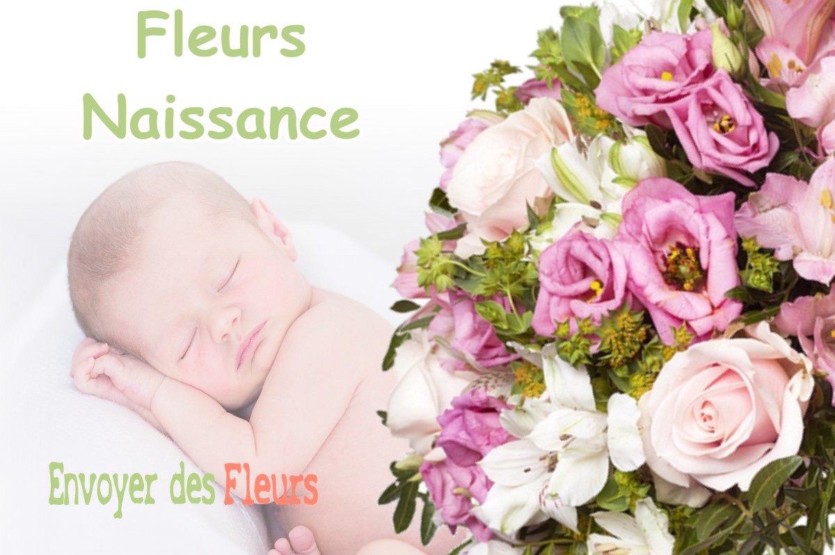 lIVRAISON FLEURS NAISSANCE à PARFONDRUPT